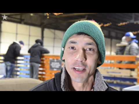 屋内ドッグパークではしゃぐ犬たち