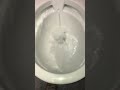 Armitage Shanks Contour toilet in Morrison’s