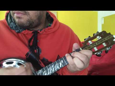 Nova morada - Fundo de Quintal