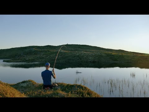 Dry fly fishing in Møre og Romsdal