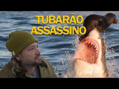 O ATAQUE DO TUBARÃO ASSASSINO, TUBARÃO BRANCO | RICHARD RASMUSSEN