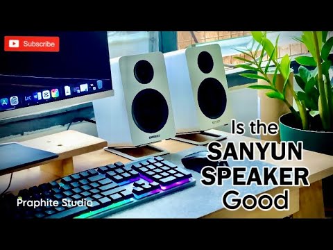 Unboxing the SANYUN SW - 208 Speaker.