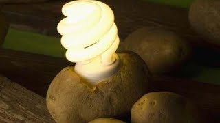 How to get electricity from potato 🔴🔴🔴 TU
