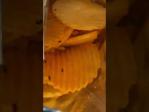 Ruffles - DEAD ANTS ON MY CHIPS