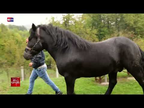 Prnjavor: Seosko imanje porodice Aćamović