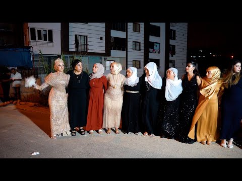 Gelin Hanım Halay Başı - Cida Halay 2025 - Berat Ak