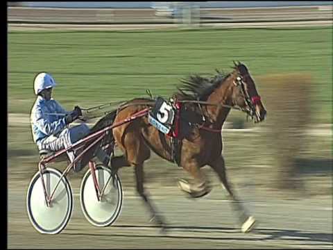 Trotto 03/03/2017 - 4ª corsa