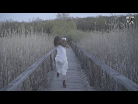 Ligia Hojda - Back to you (Lyrics Video)