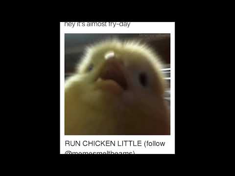 mlodymati ft. @hubi216 - suka