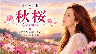 【秋桜】コスモス｜歌詞付き｜世界三大コンクール出場ソプラノいまいあいが歌ってみた