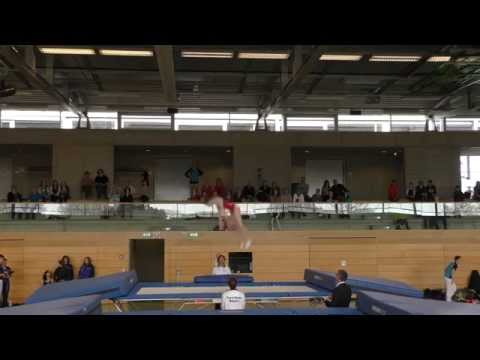 Mona Weiler: Pflicht BEM 2015