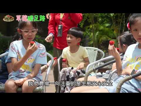 全臺第一個草莓碳足跡