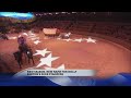 Dixie Stampede Is Changing It Name To Dolly Parton S Stampede
