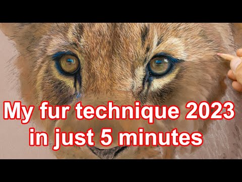 Wildlife Art - Draw Amazing / Realistic Fur! My Pastel Fur Technique - Jason Morgan Art
