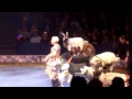 Big Apple Circus Nov 2014 008