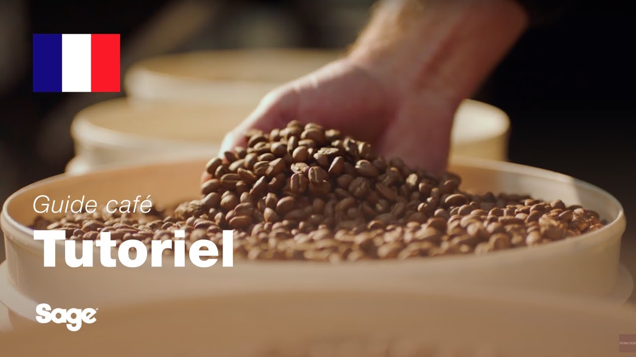 Guide didactique du café Breville - Choisir les bons grains