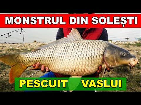 Monstrul din Barajul Solesti Vaslui - ARE BALTA PEȘTE !?