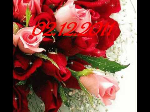 Happy Birthday to you Amr ♥ Juj Juja Bulgaria