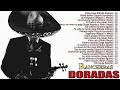 RANCHERAS MEXICANAS VIEJITAS PEDRO INFANTE, JAVIER SOLÍS, VICENTE FERNÁNDEZ, ANTONIO AGUILAR..EXITOS