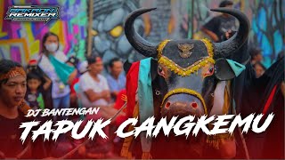 Download lagu DJ BANTENGAN TAPOK CANGKEMU READY GAWE KALAPAN MU BOLO 🤣 mp3 Download lagu DJ BANTENGAN TAPOK CANGKEMU READY GAWE KALAPAN MU BOLO 🤣 mp3