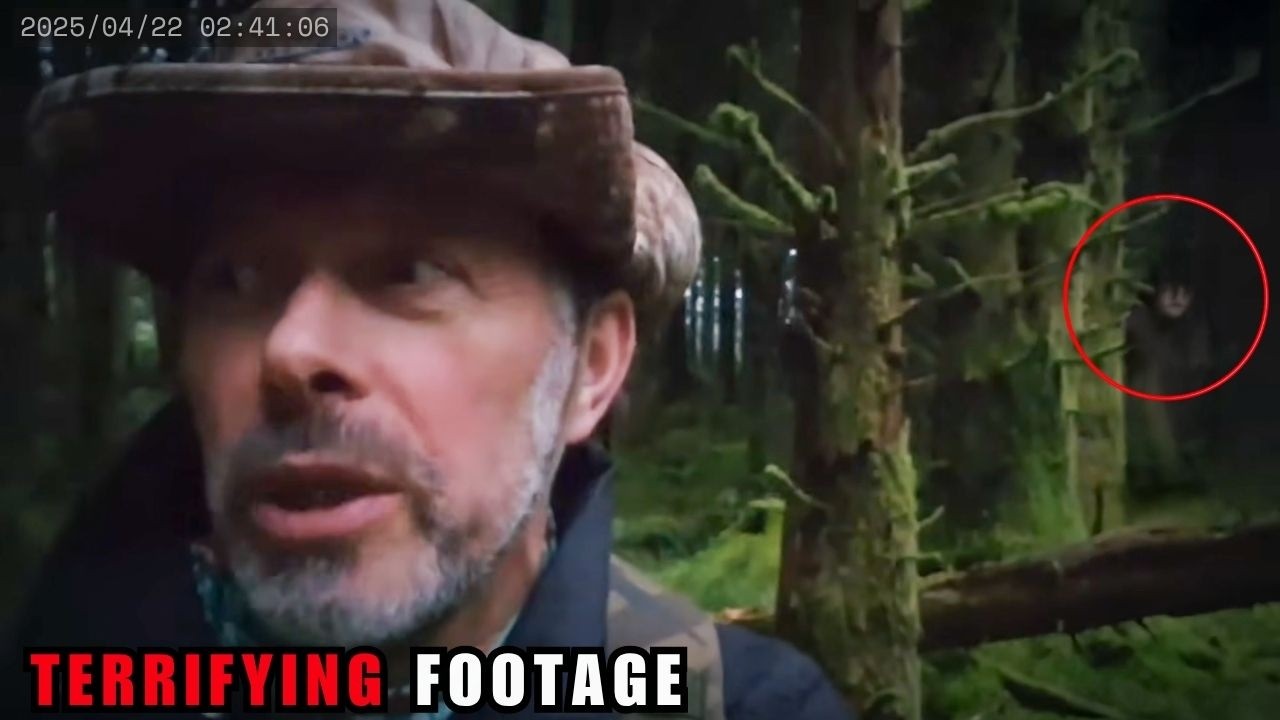 9 MOST INTENSE Forest Encounters Caught on Camera