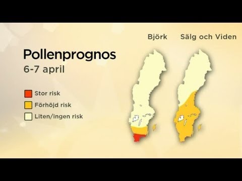 Pollenprognos med Ulrika Andersson - Nyhetsmorgon (TV4)