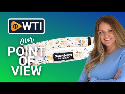 Downtown Pet Supply Dog Collars - WTI product video review