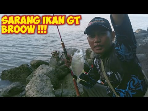 Lokasi Mancing Pinggiran Sarang Ikan GT