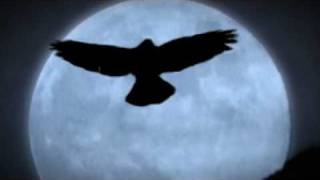 Count Raven, Voodoo Mule - 1. 4. 2011 @ Orto Bar, Ljubljana (Promo)