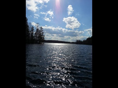 Kirjatossa & sitten kotin