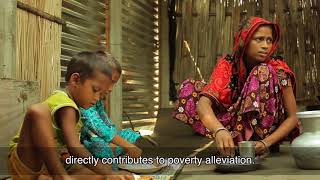 জয়যাত্রা