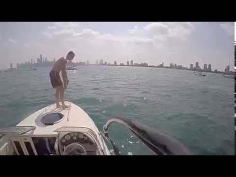 Slawek scared cat jump Marki na wakacjach