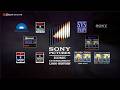 Sony Pictures Home Entertainment Logo History 88