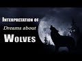 Interpretation of Dreams about Wolves - Sign Meaning