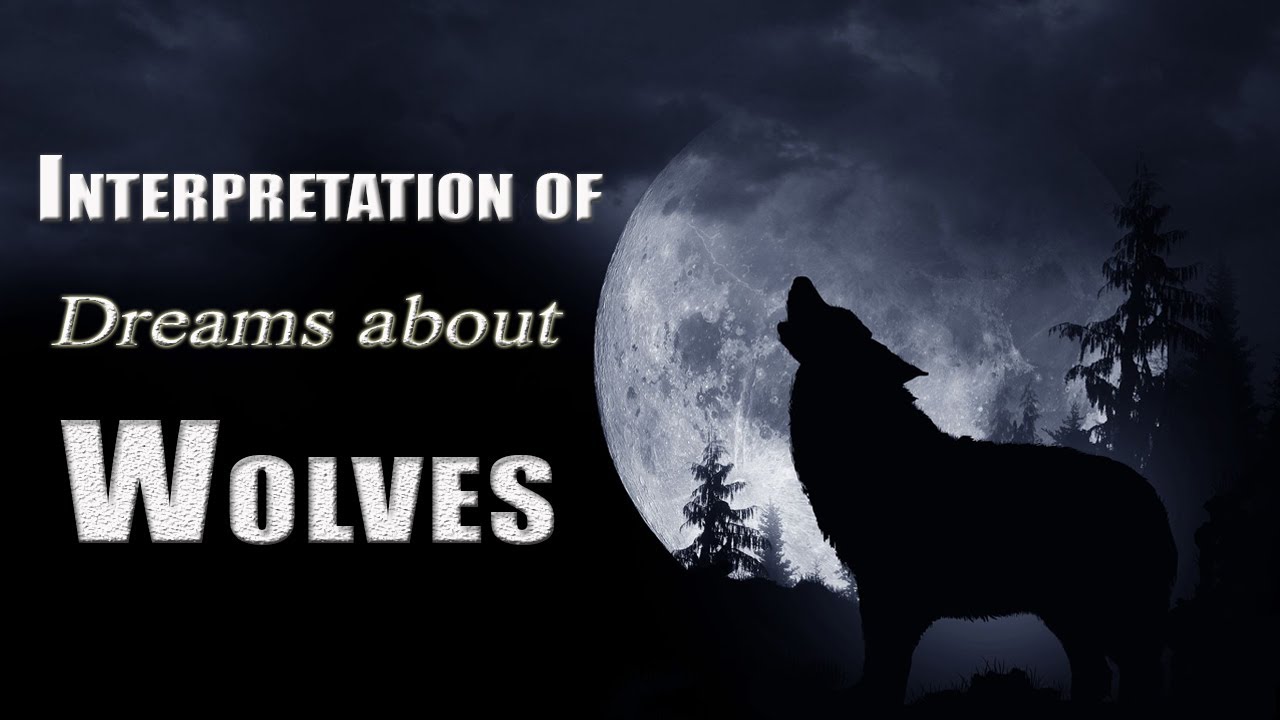 Interpretation of Dreams about Wolves - Sign Meaning