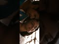 Ethir Neechal Velicha Poove Full Screen Hd WhatsApp Status