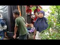 Singa Dangdut AMJ Aqilah Mustika Jaya Group