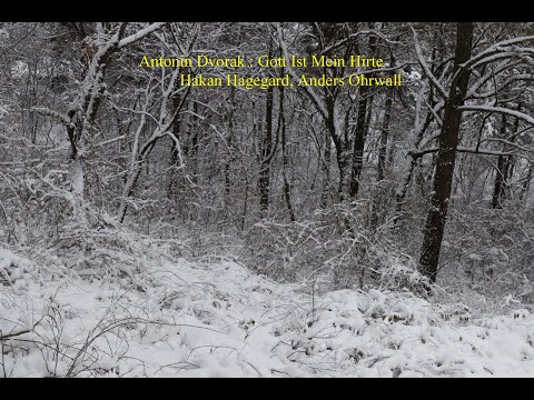 Dvorak : Gott Ist Mein Hirte