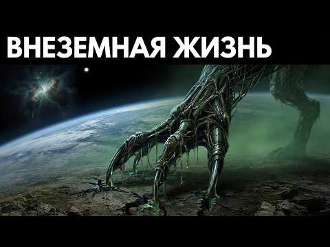Все представления о внеземной жизни могут оказаться ошибкой