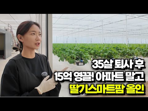 (귀농스쿨) 딸기 스마트팜 담길농장