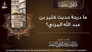 ما درجة حديث كثير بن عبد الله المزني؟ image