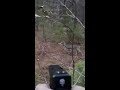 Deer Hunting with a Handgun!