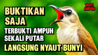 Download lagu Suara Trucukan Gacor Ngalas & Ropel - Pancingan Terbaik | Agar Cepat Bunyi mp3 Download lagu Suara Trucukan Gacor Ngalas & Ropel - Pancingan Terbaik | Agar Cepat Bunyi mp3