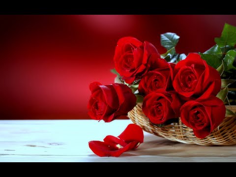 Sieben Rosen Sieben Tränen*** Frans Bauer***