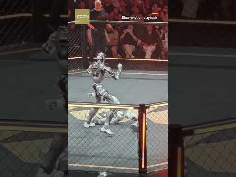 Bruce Lee's low kick, executed by humanoids