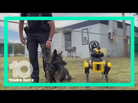 St. Petersburg Police Department shows off Spot, a robotic police dog