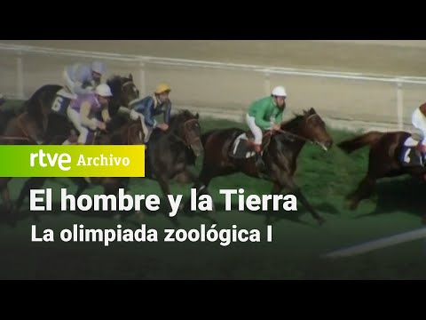 El hombre y la tierra: Chapter 56 - The Zoological Olympiad I | RTVE Archivo