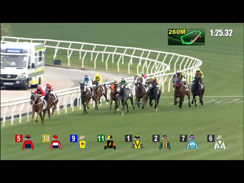 6/2/2022 (398) Viva Popcorn - Z Purton