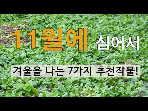 아이콘