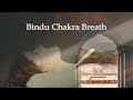 Bindu Chakra Breath | Pranayama Breathing Practice for Bindu Chakra Activation